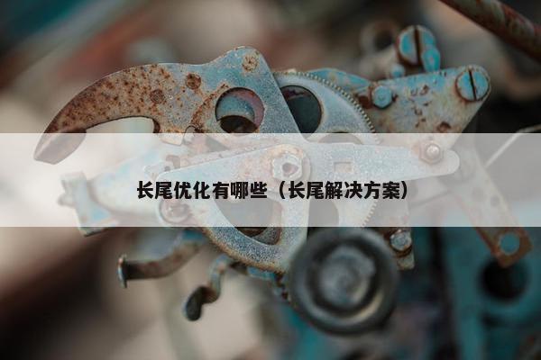 长尾优化有哪些（长尾解决方案）