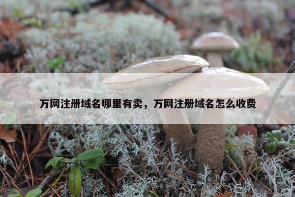 万网注册域名哪里有卖，万网注册域名怎么收费