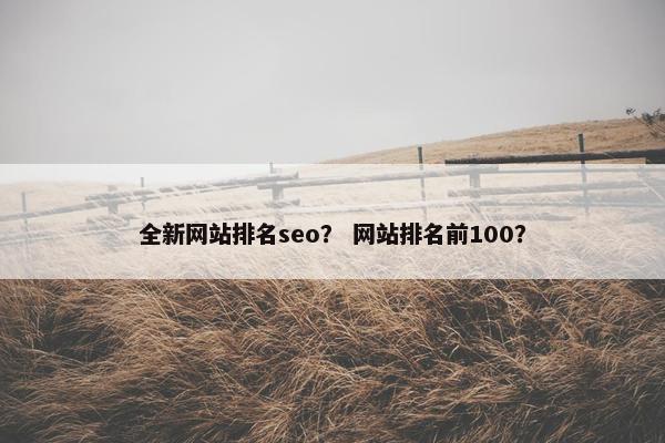 全新网站排名seo？ 网站排名前100？