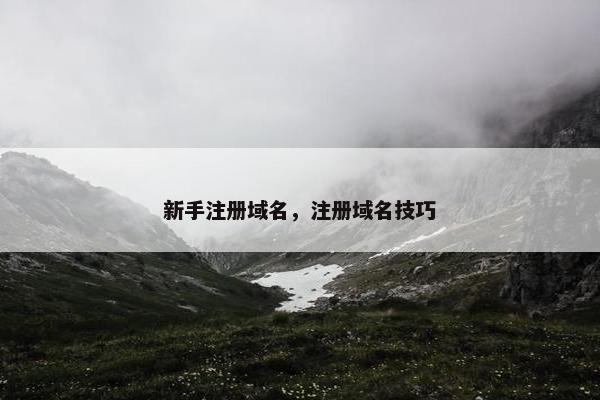 新手注册域名，注册域名技巧