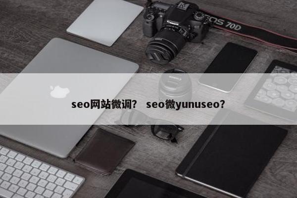 seo网站微调？ seo微yunuseo？