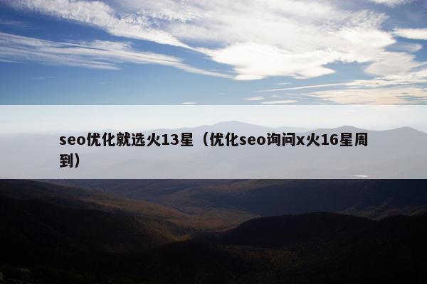 seo优化就选火13星（优化seo询问x火16星周到）