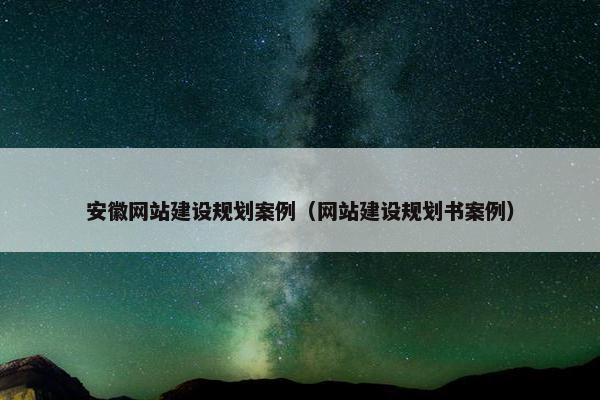 安徽网站建设规划案例（网站建设规划书案例）