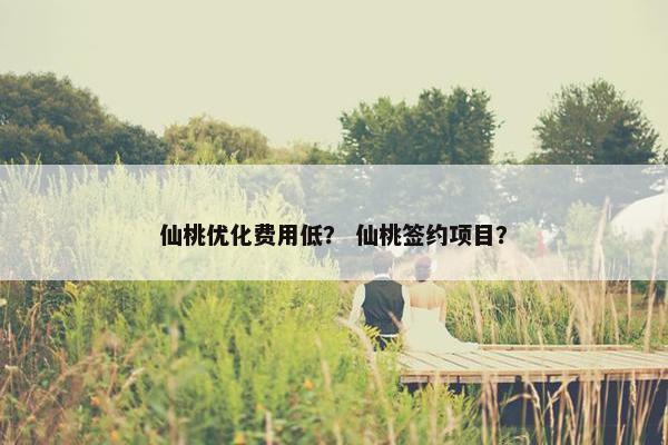 仙桃优化费用低？ 仙桃签约项目？