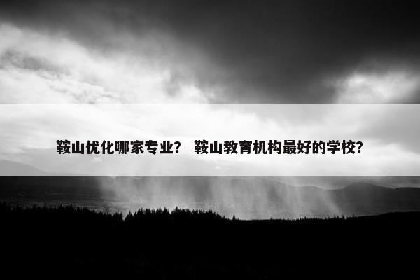 鞍山优化哪家专业？ 鞍山教育机构最好的学校？