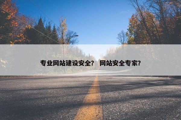 专业网站建设安全？ 网站安全专家？