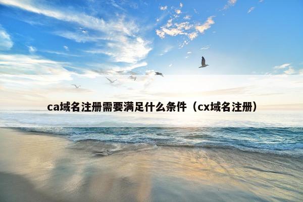 ca域名注册需要满足什么条件（cx域名注册）