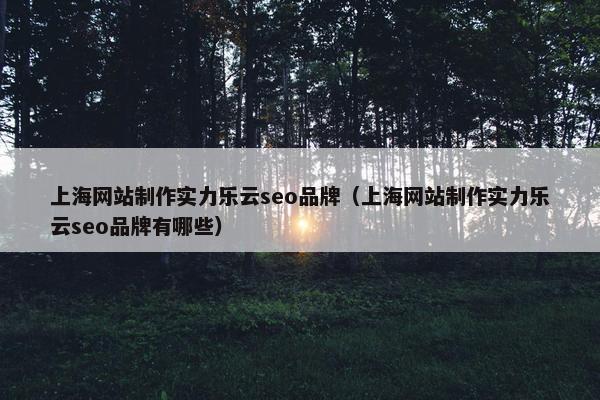 上海网站制作实力乐云seo品牌（上海网站制作实力乐云seo品牌有哪些）