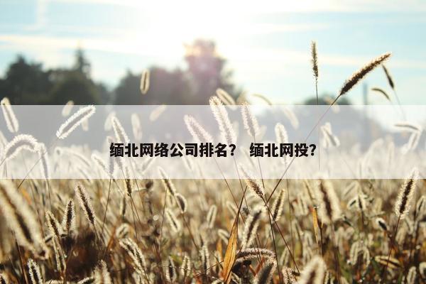 缅北网络公司排名？ 缅北网投？
