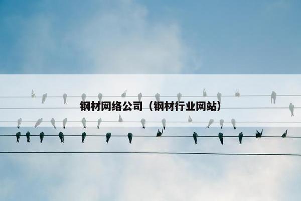 钢材网络公司（钢材行业网站）