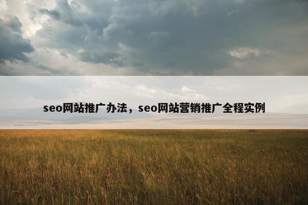 seo网站推广办法，seo网站营销推广全程实例