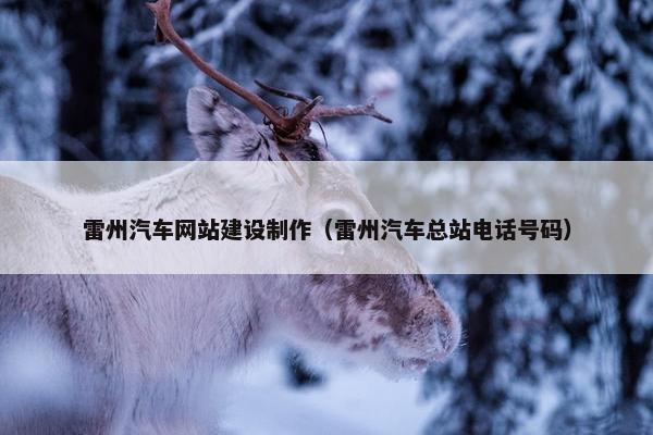雷州汽车网站建设制作（雷州汽车总站电话号码）