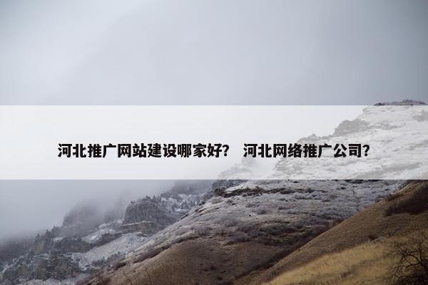 河北推广网站建设哪家好？ 河北网络推广公司？