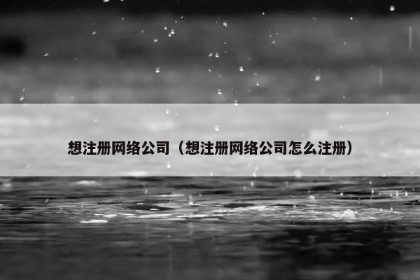 想注册网络公司（想注册网络公司怎么注册）