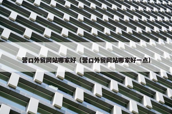 营口外贸网站哪家好（营口外贸网站哪家好一点）