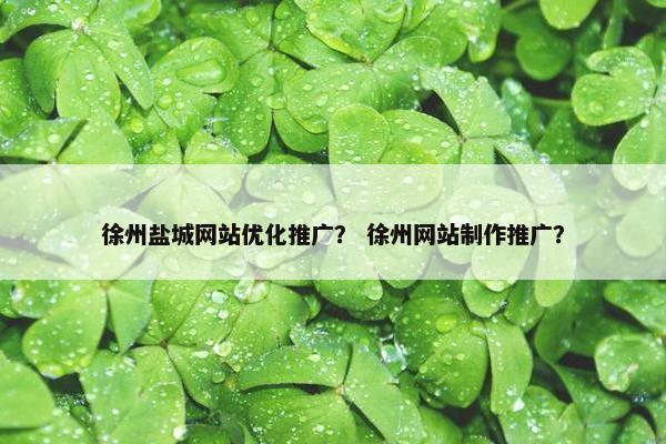 徐州盐城网站优化推广？ 徐州网站制作推广？