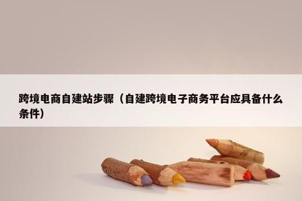 跨境电商自建站步骤（自建跨境电子商务平台应具备什么条件）