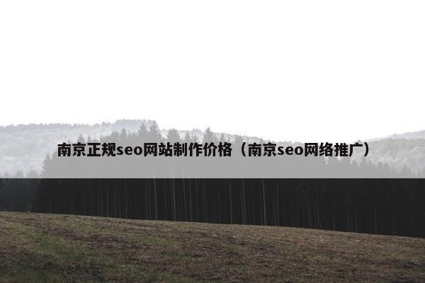南京正规seo网站制作价格（南京seo网络推广）