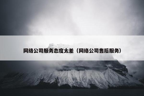 网络公司服务态度太差（网络公司售后服务）