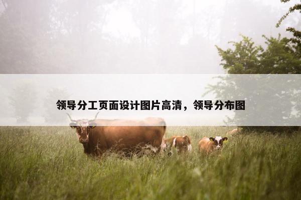 领导分工页面设计图片高清，领导分布图