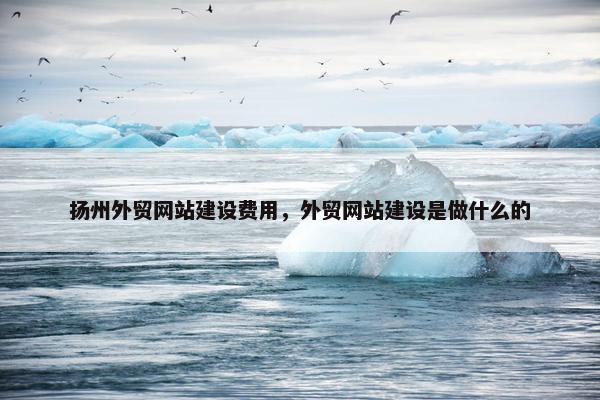 扬州外贸网站建设费用，外贸网站建设是做什么的