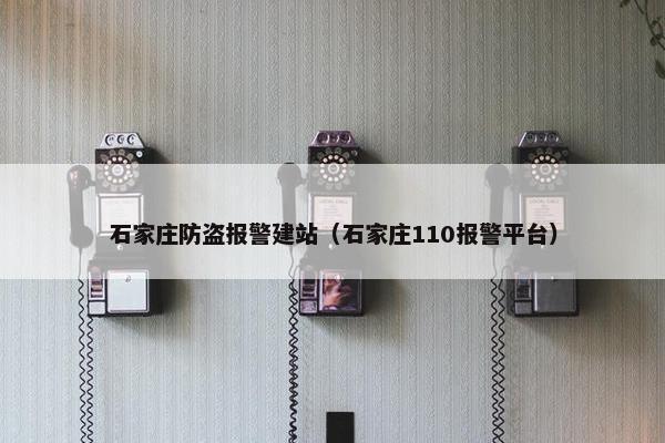 石家庄防盗报警建站（石家庄110报警平台）