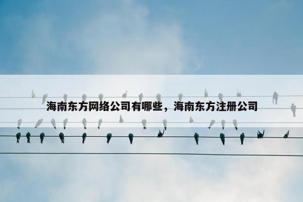 海南东方网络公司有哪些，海南东方注册公司