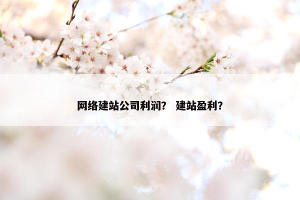 网络建站公司利润？ 建站盈利？