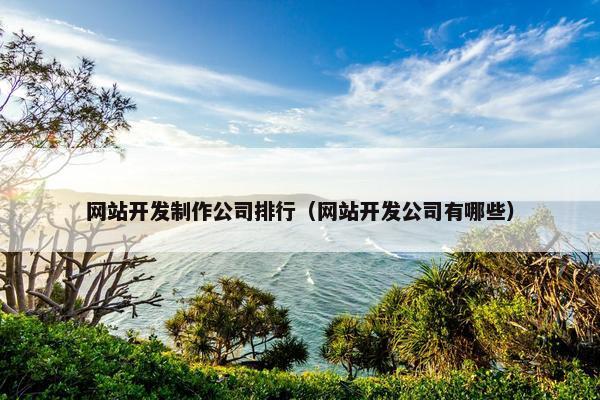 网站开发制作公司排行（网站开发公司有哪些）