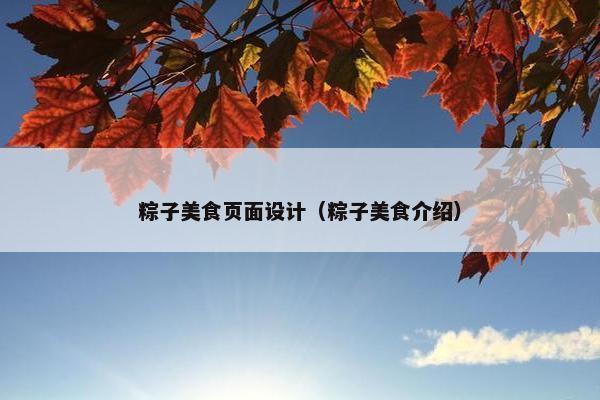 粽子美食页面设计（粽子美食介绍）