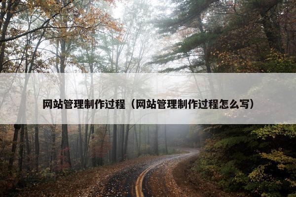 网站管理制作过程（网站管理制作过程怎么写）