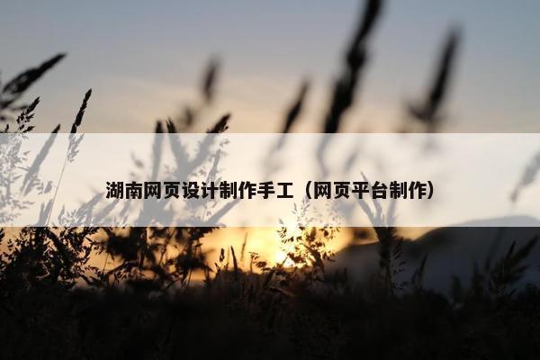 湖南网页设计制作手工（网页平台制作）