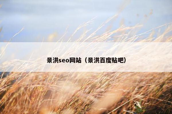 景洪seo网站（景洪百度贴吧）