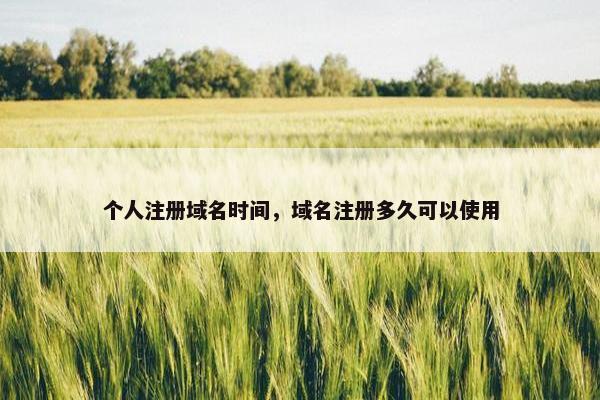 个人注册域名时间，域名注册多久可以使用