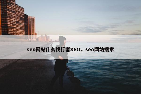 seo网站什么找行者SEO，seo网站搜索