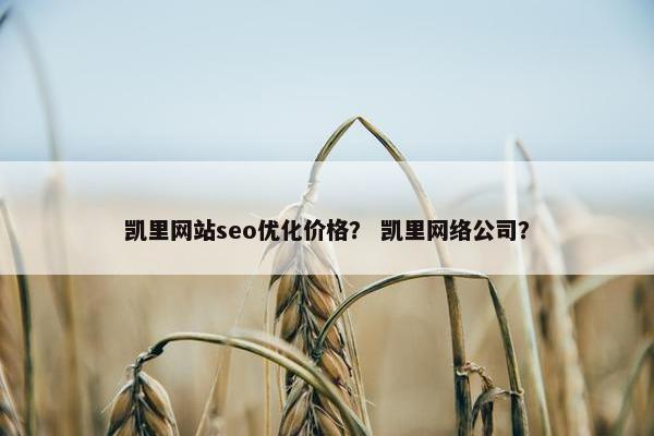 凯里网站seo优化价格？ 凯里网络公司？
