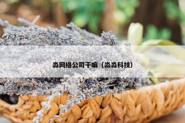 淼网络公司干嘛（淼淼科技）