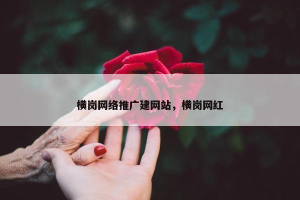 横岗网络推广建网站，横岗网红