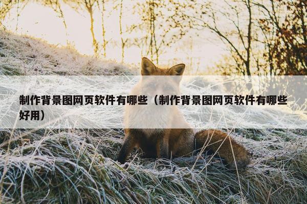 制作背景图网页软件有哪些（制作背景图网页软件有哪些好用）