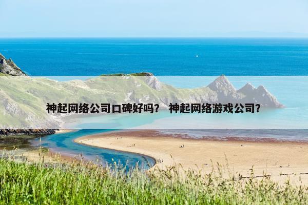 神起网络公司口碑好吗？ 神起网络游戏公司？