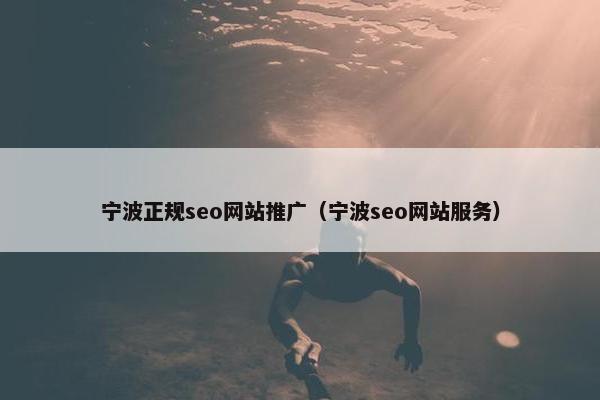 宁波正规seo网站推广（宁波seo网站服务）
