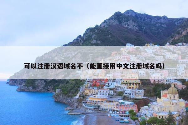 可以注册汉语域名不（能直接用中文注册域名吗）