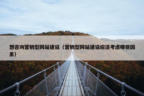 想咨询营销型网站建设（营销型网站建设应该考虑哪些因素）