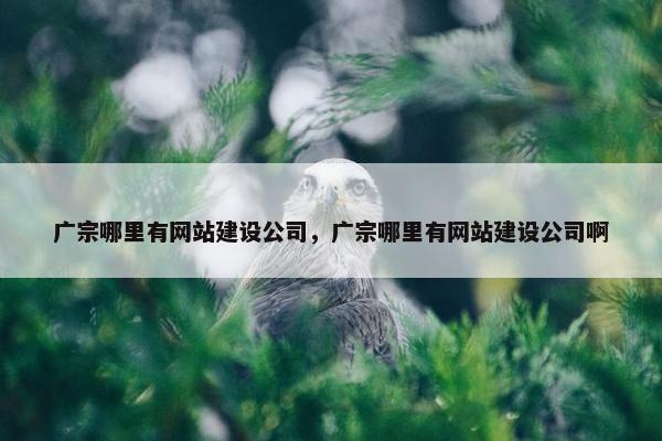 广宗哪里有网站建设公司，广宗哪里有网站建设公司啊