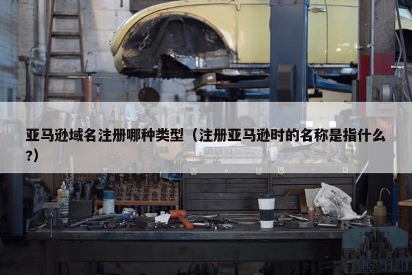 亚马逊域名注册哪种类型（注册亚马逊时的名称是指什么?）