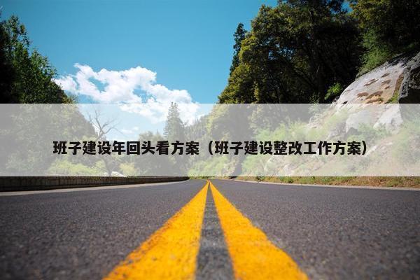 班子建设年回头看方案（班子建设整改工作方案）