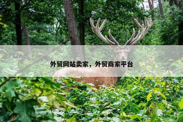 外贸网站卖家，外贸商家平台