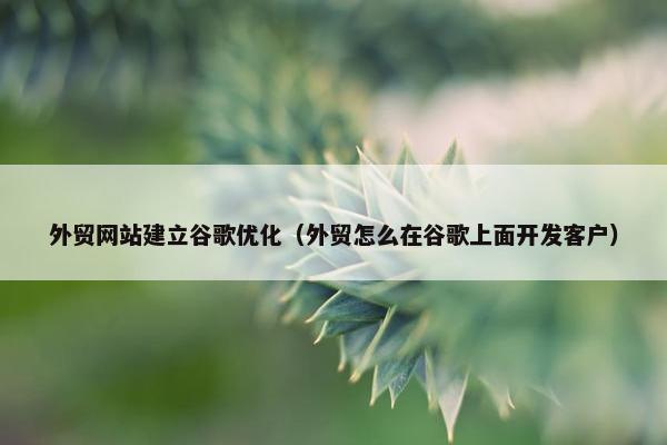 外贸网站建立谷歌优化（外贸怎么在谷歌上面开发客户）