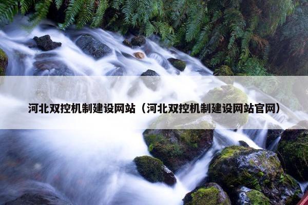 河北双控机制建设网站（河北双控机制建设网站官网）