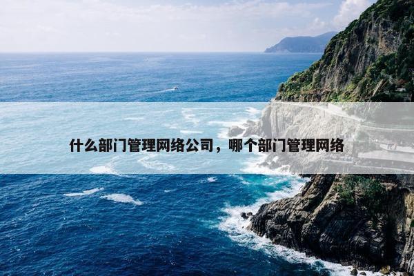 什么部门管理网络公司，哪个部门管理网络